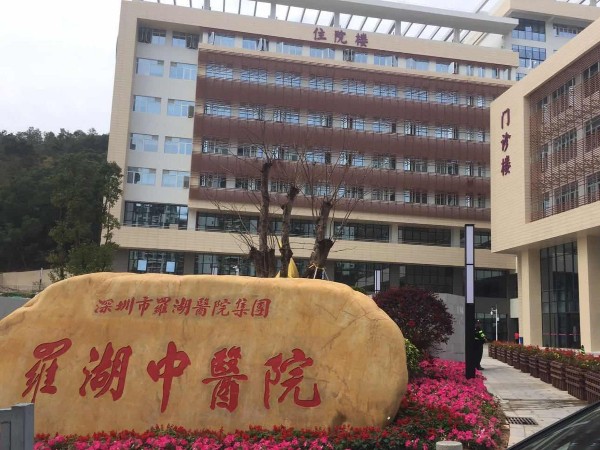 深圳羅湖中醫院真石漆項目